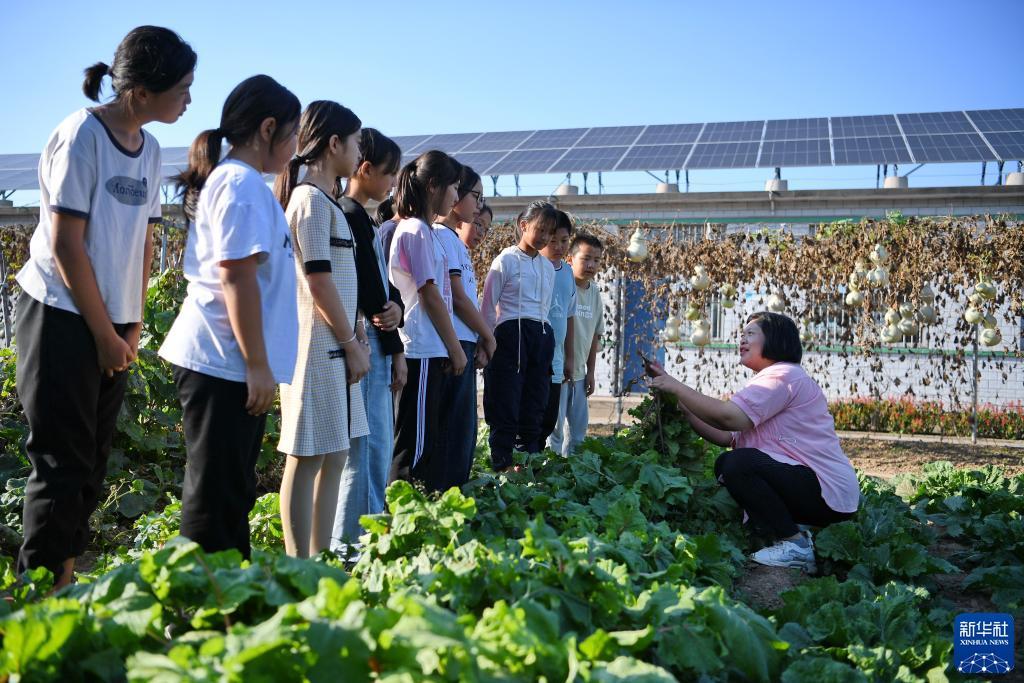 真人电子mg登录